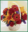 This basket abounds with red roses, orange mini Gerbera daisies, and orange Asiatic lilies, along with some red carnations just for good measure. Pure summer fun - send it as a special Hello & make someone smile. Style of basket may vary.