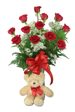 red roses and teddy bear